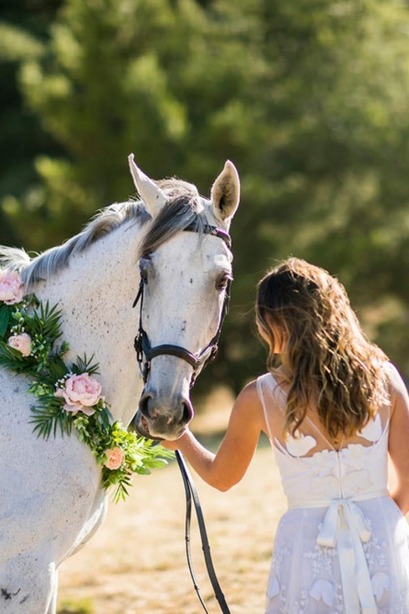 Bride-horse-2